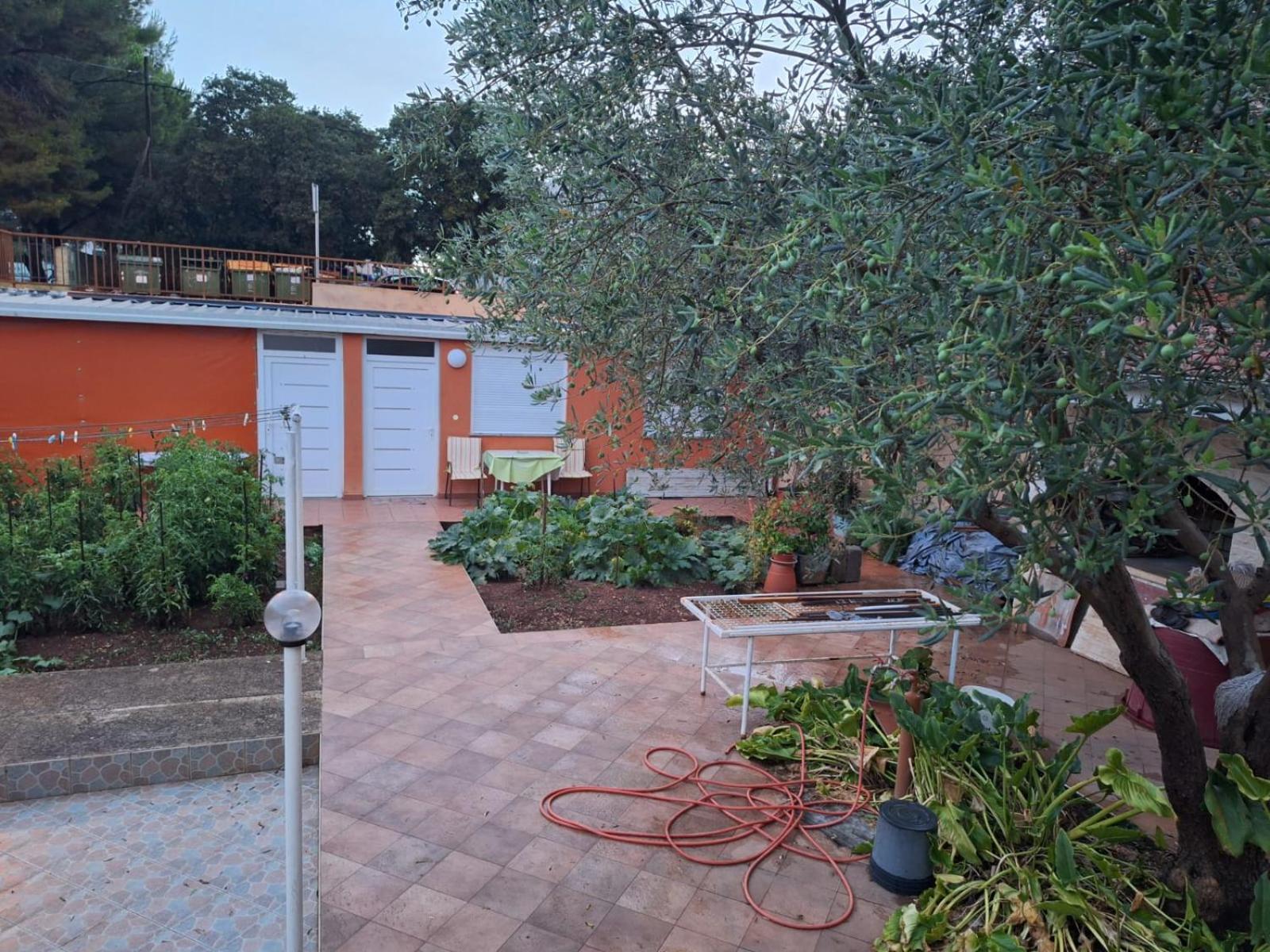 Hana Apartments Zadar Dış mekan fotoğraf