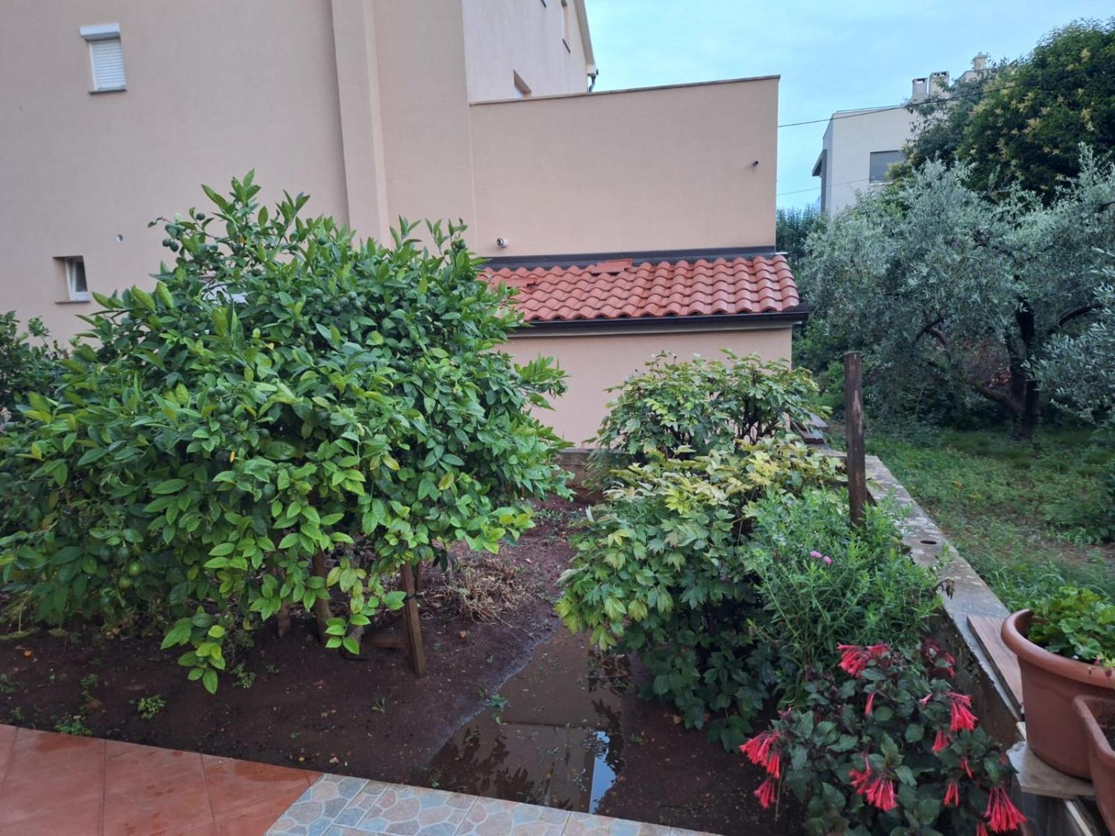 Hana Apartments Zadar Dış mekan fotoğraf